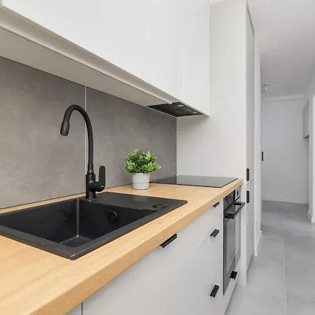 Classic Grazynskiego Near Spodek By Renters Appartement *