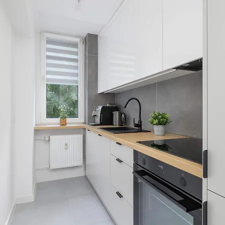 Classic Grazynskiego Near Spodek By Renters * Katowice